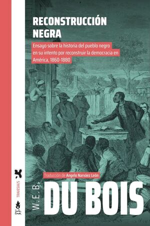 Libro Reconstruccion Negra