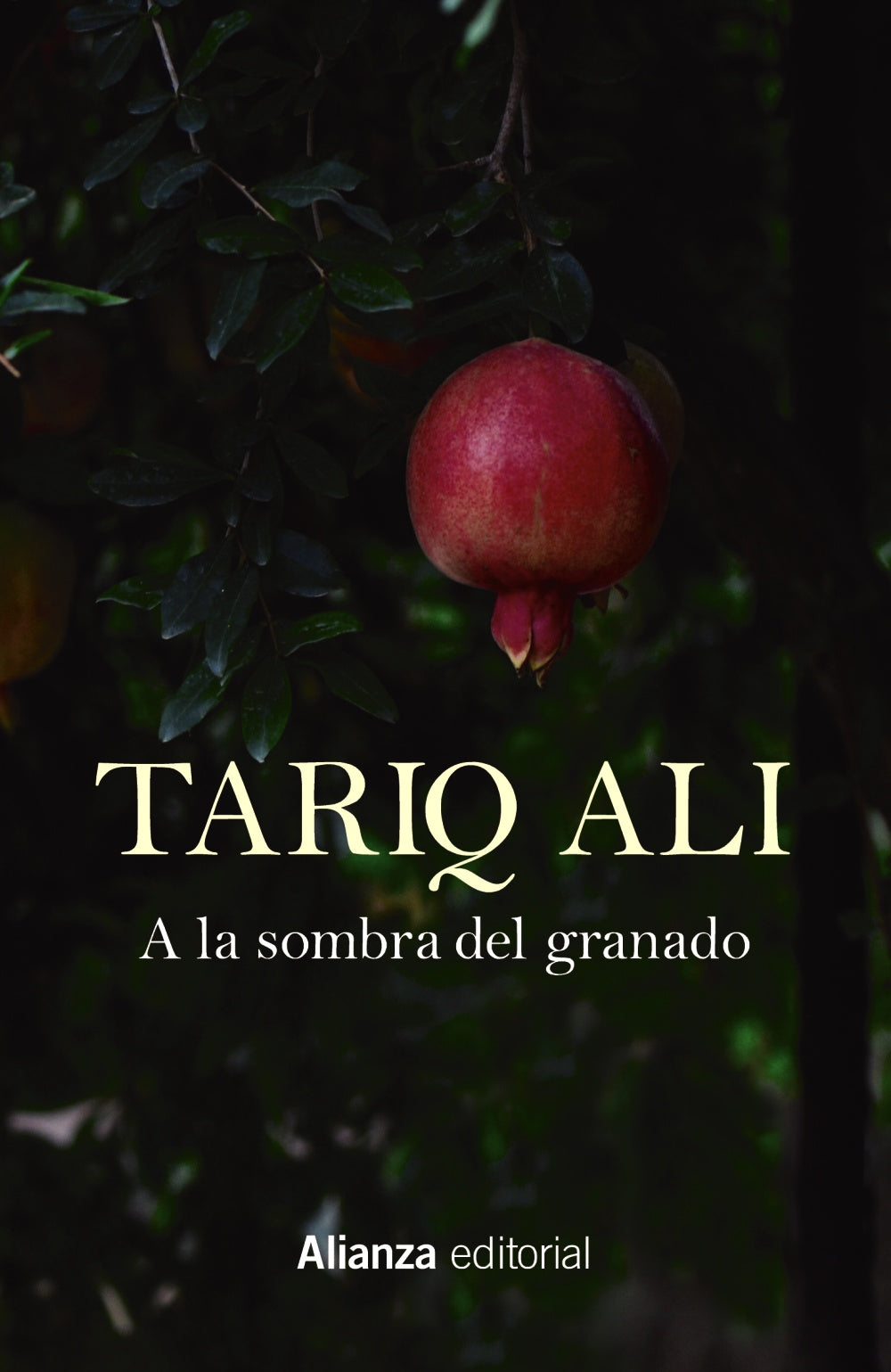 A La Sombra Del Granado - Ali Tariq - Alianza