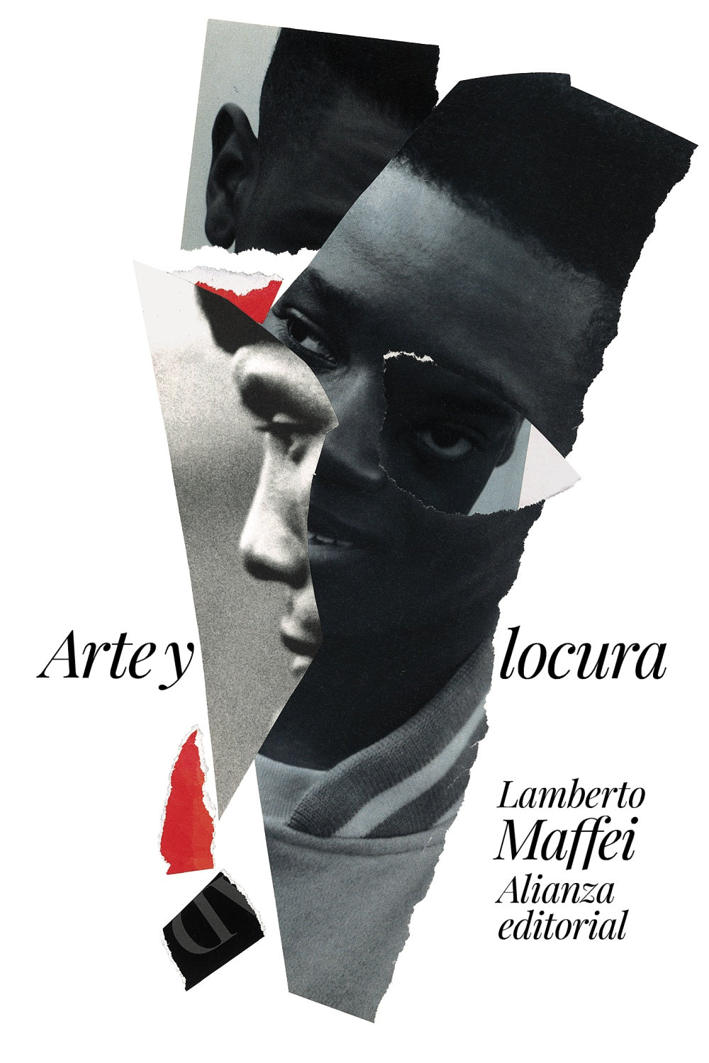 Arte Y Locura - Maffei Lamberto - Alianza