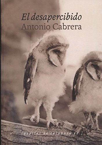 Libro EL DESAPERCIBIDO de CABRERA ANTONIO en Colombia, literatura