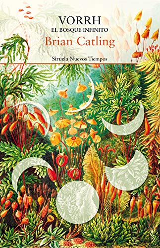 Libro VORRH EL BOSQUE INFINITO de CATLING BRIAN en Colombia, literatura