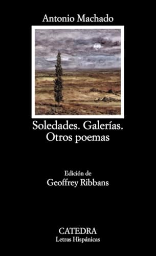 Libro SOLEDADES GALERIAS OTROS POEMAS de MACHADO ANTONIO en Colombia, poesia