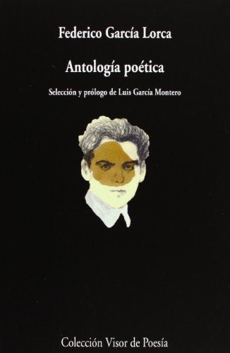 Libro ANTOLOGIA POETICA GARCIA LORCA de GARCIA LORCA FEDERICO en Colombia, poesia