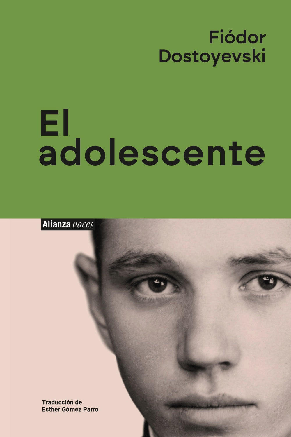 Libro El Adolescente