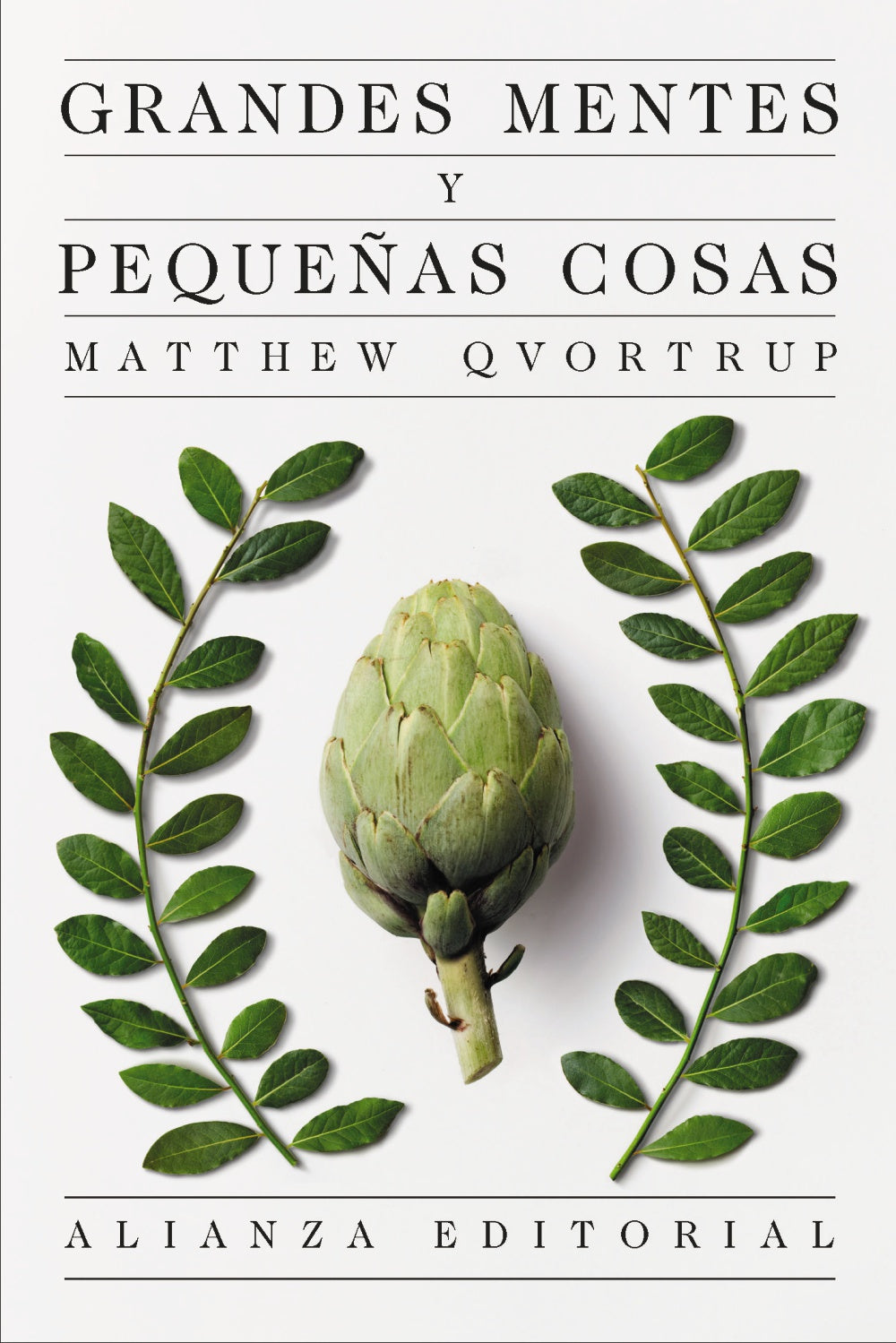 Libro GRANDES MENTES Y PEQUEÑAS COSAS de QVORTRUP MATTHEW en Colombia, filosofia