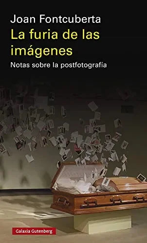 La Furia De Las Imagenes, Notas Sobre La - Icaro Libros