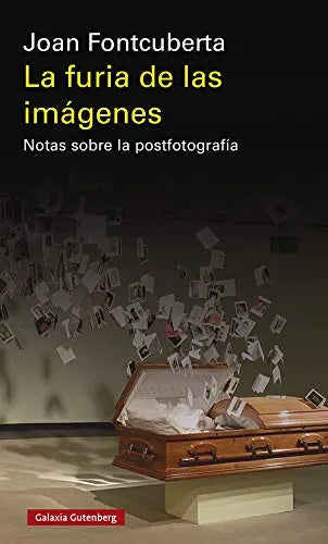 La Furia De Las Imagenes, Notas Sobre La - Icaro Libros