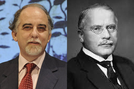 Los libros negros  de Jung: en busca de la oscuridad para liberar la luz. - Icaro Libros