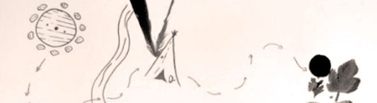 PROSCENIO Y TELÓN DE FONDO - Icaro Libros