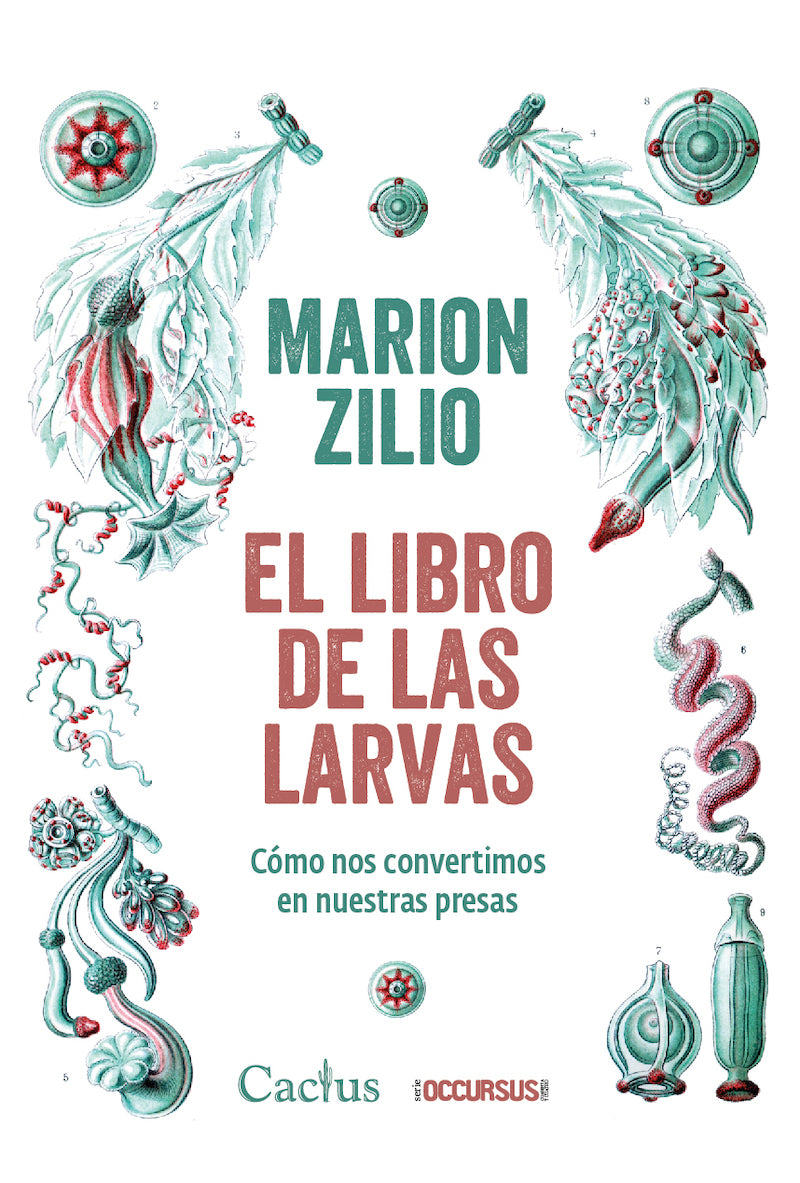 Libro El Libro De Las Larvas Como Nos Converti