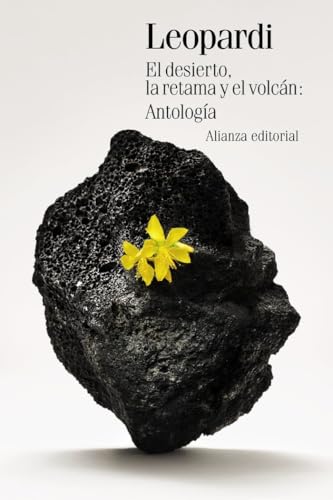 Libro El Desierto La Retama Y El Volcan: Anto