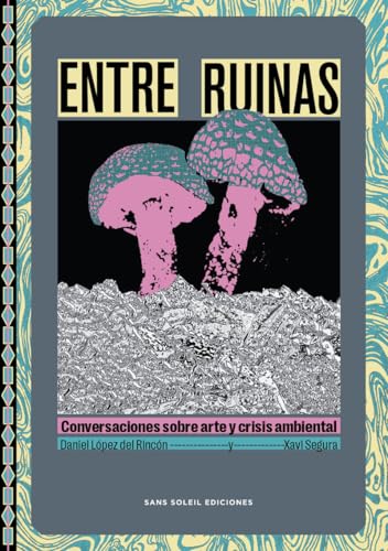 Libro ENTRE RUINAS CONVERSACIONES SOBRE ARTE Y CRISI AMBIENTAL de LOPEZ DEL RINCON DANIEL en Colombia, arte