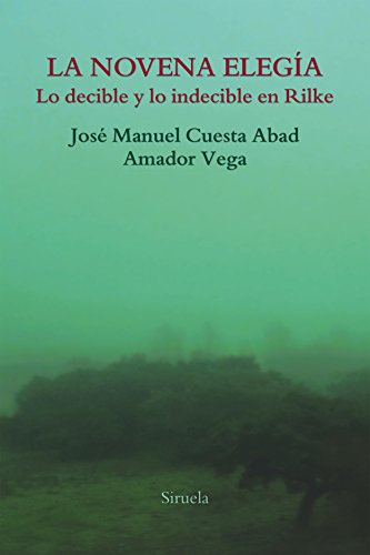 Libro LA NOVENA ELEGIA LO DECIBLE Y LO INDECI de CUESTA ABAD JOSE MANUEL en Colombia, ensayo literario
