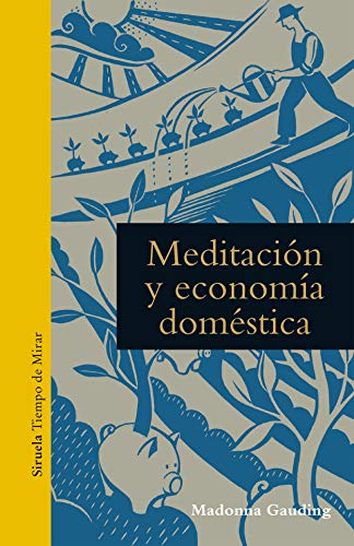 Libro MEDITACION Y ECONOMIA DOMESTICA de GAUDING MADONNA en Colombia, ensayo