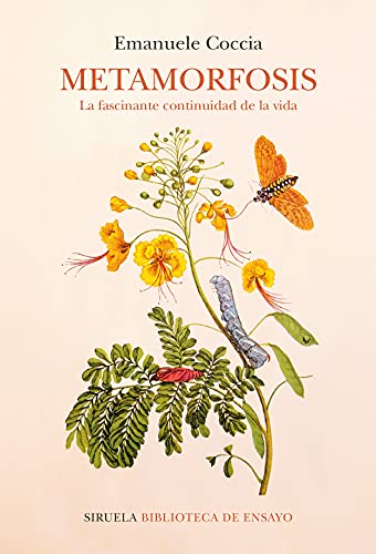Libro METAMORFOSISLA FASCINANTE CONTINUIDAD DE LA VIDA de COCCIA EMMANUELE en Colombia, ensayo