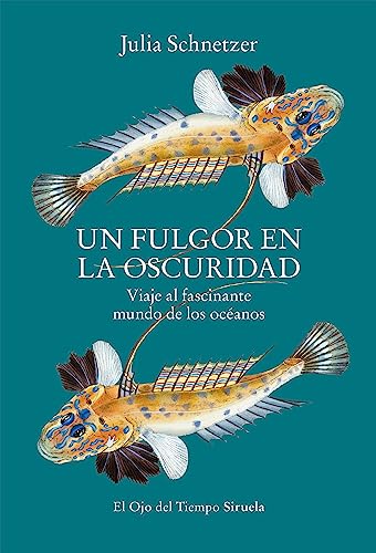 Libro UN FULGOR EN LA OSCURIDAD de SCHNETZER JULIIA en Colombia, ensayo
