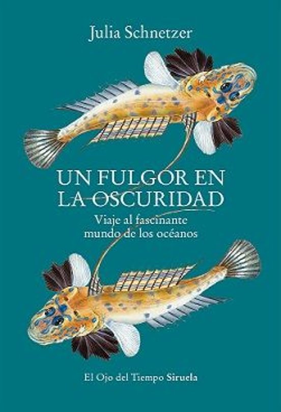 Libro Un Fulgor En La Oscuridad