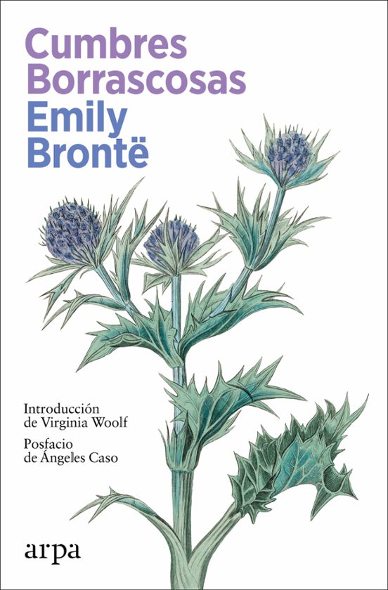 Libro CUMBRES BORRASCOSAS de BRONTE EMILY en Colombia, literatura
