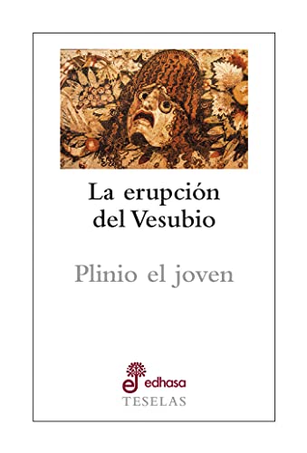 Libro La Erupcion Del Vesubio