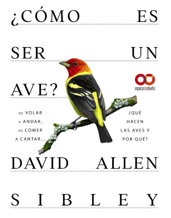 Libro COMO ES SER UN AVE? DE VOLAR A ANIDAR DE COMER A CANTAR ¿QUE HACEN LAS AVES Y POR QUE? de ALLEN SIBLEY DAVID en Colombia, biologia