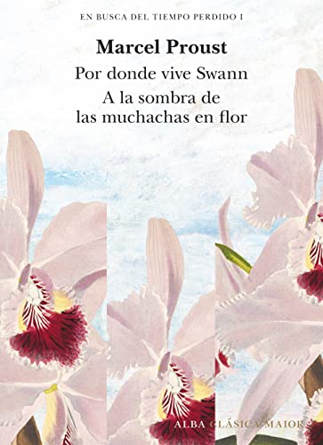 Libro EN BUSCA DEL TIEMPO PERDIDO (VOL 1): POR DONDE VIVE SWAN (T I) Y A LA SOMBRA DE LAS MUCHACHAS EN FLOR (T II) de PROUST MARCEL en Colombia, literatura