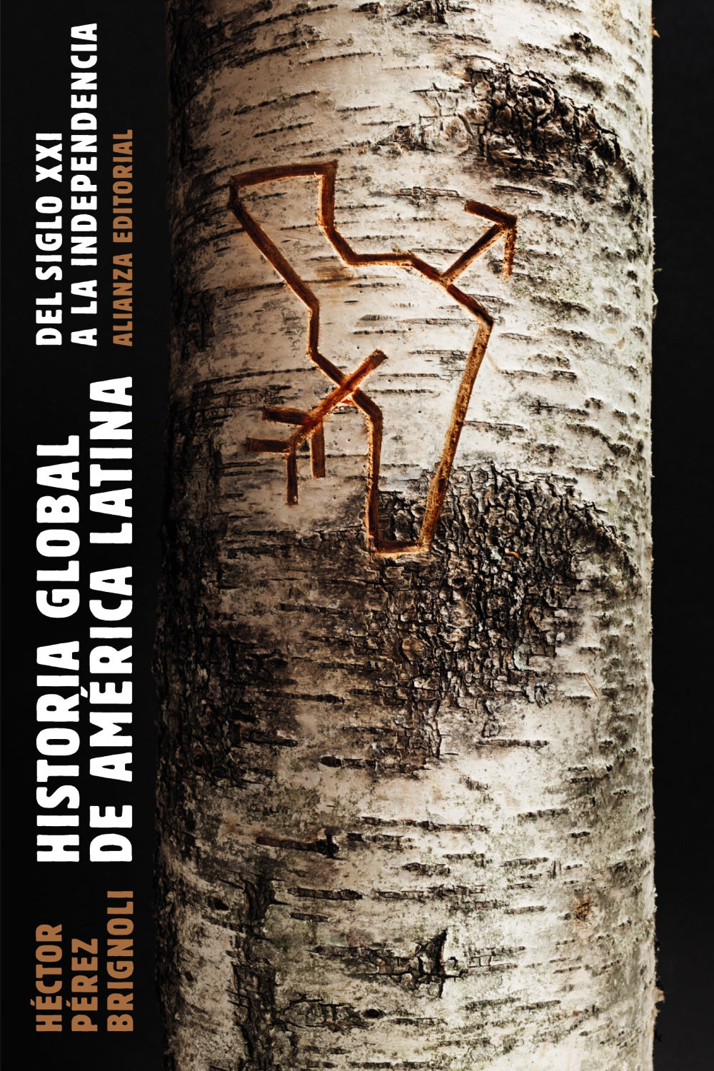 Libro HISTORIA GLOBAL DE AMERICA LATINA, 2010-1810 de PEREZ BRIGNOLI HECTOR en Colombia, historia