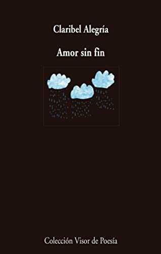 Libro Amor Sin Fin