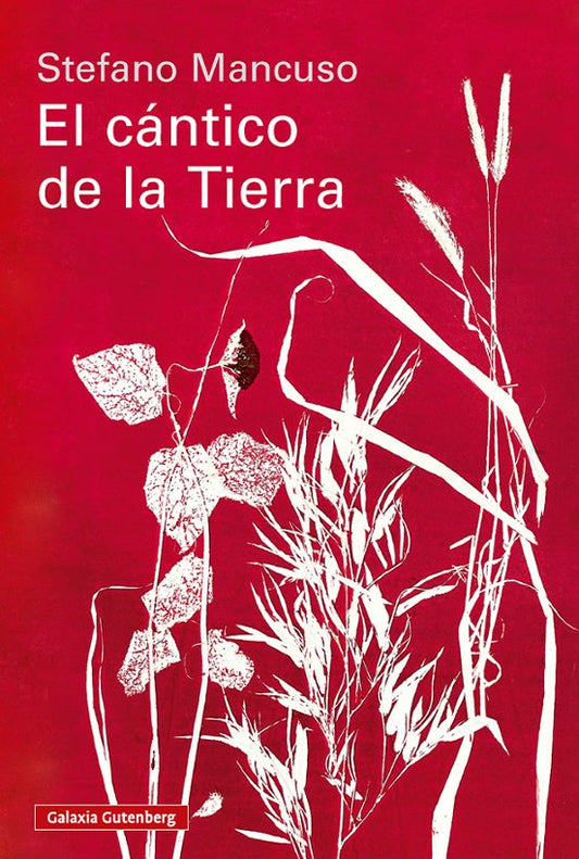 Libro EL CANTICO DE LA TIERRA de MANCUSO  STEFANO en Colombia, ecologia