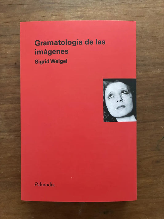 Libro Gramatologia De Las Imagenes, de Weigel Sigrid - Palinodia