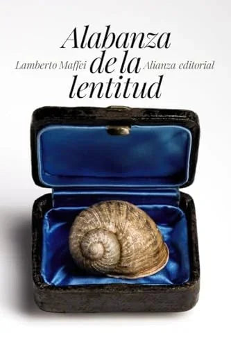 Libro ALABANZA DE LA LENTITUD de MAFFEI LAMBERTO en Colombia, ensayo