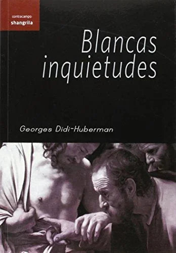 Libro BLANCAS INQUIETUDES de DIDI-HUBERMAN GEORGES en Colombia, estetica