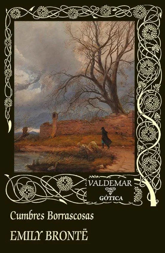 Libro CUMBRES BORRASCOSAS - de BRONTE  EMILY en Colombia, literatura