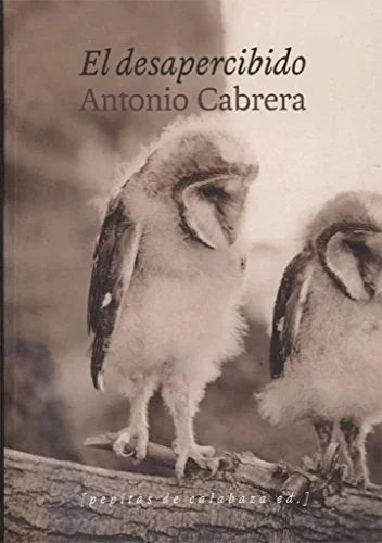 Libro EL DESAPERCIBIDO de CABRERA ANTONIO en Colombia, literatura