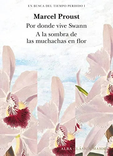 Libro EN BUSCA DEL TIEMPO PERDIDO (VOL 1): POR DONDE VIVE SWAN (T I) Y A LA SOMBRA DE LAS MUCHACHAS EN FLOR (T II) de PROUST MARCEL en Colombia, literatura