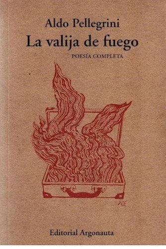 Libro LA VALIJA DE FUEGO de PELLEGRINI ALDO en Colombia, literatura