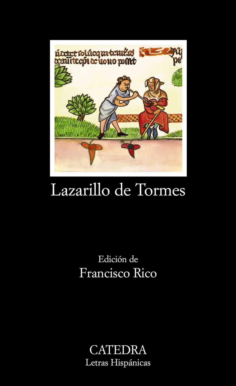 Libro LAZARILLO DE TORMES de ANONIMO en Colombia, literatura