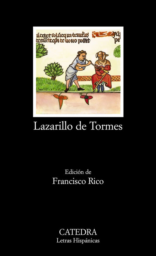 Libro LAZARILLO DE TORMES de ANONIMO en Colombia, literatura