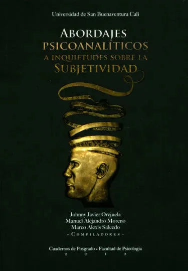 Libro Abordajes Psicoanaliticos A Inquietudes