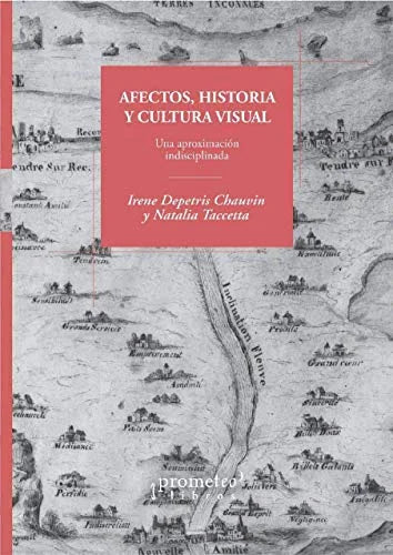 Libro AFECTOS HISTORIA Y CULTURA VISUAL UNA APROXIMACION INDISCIPLINADA de DEPETRIS CHAWIN IRENE en Colombia, estetica