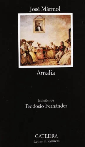 Libro AMALIA de MARMOL JOSE en Colombia, literatura