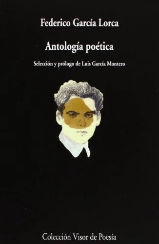 Libro ANTOLOGIA POETICA GARCIA LORCA de GARCIA LORCA FEDERICO en Colombia, poesia