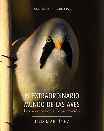 Libro EL EXTRAORDINARIO MUNDO DE LAS AVES: LOS SECRETOS DE SU OBSERVACION de MARTINEZ LUIS en Colombia, biologia