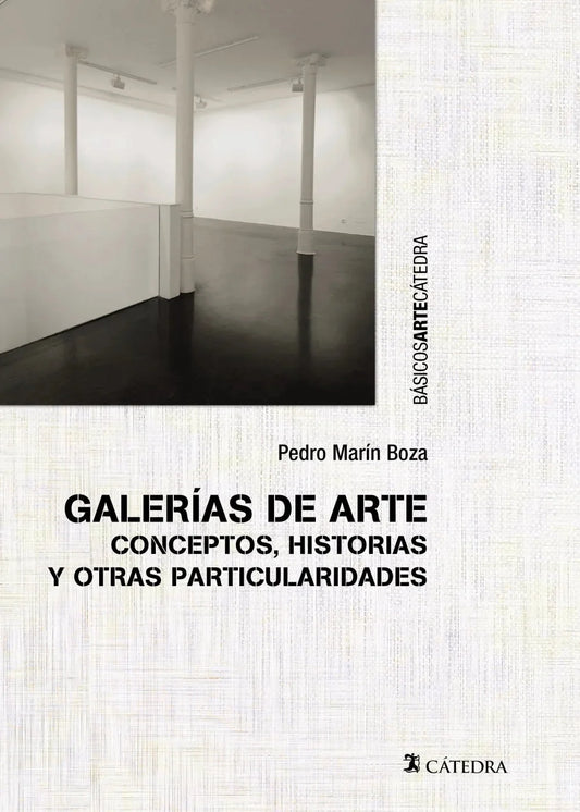 Libro Galerias De Arte Conceptos Historias Y O
