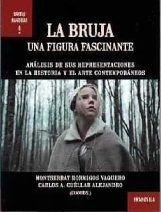 Libro La Bruja. Una Figura Fascinante
