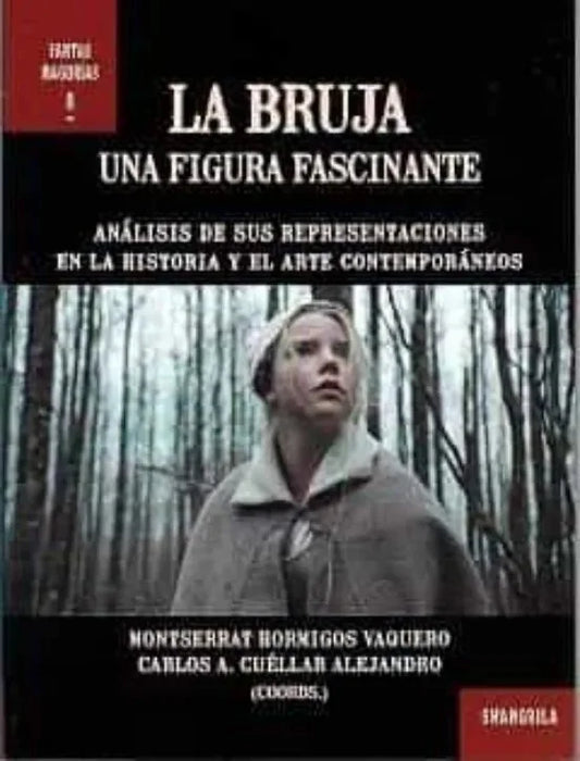 Libro La Bruja. Una Figura Fascinante