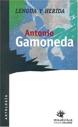 Lengua Y Herida - Icaro Libros
