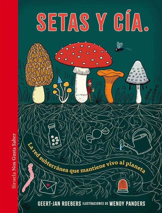 Libro SETAS Y CÍA. LA RED SUBTERRANEA QUE MANTIENE VIVO EL PLANETA de GEERT JAN ROEBERS en Colombia, juvenil