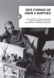 Libro Seis Formas De Amar A Barthes