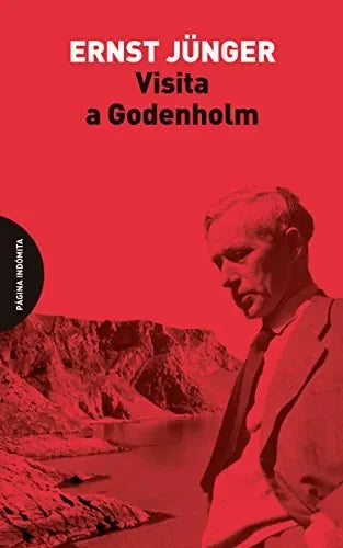Libro Visita A Godenholm