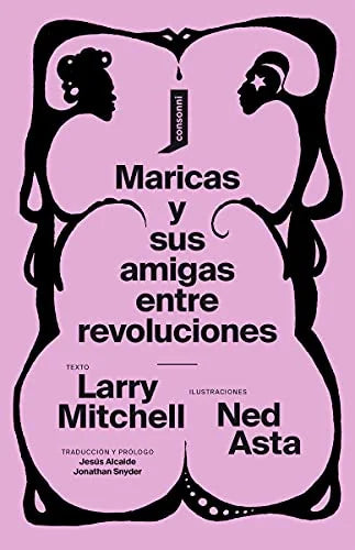 Libro MARICAS Y SUS AMIGAS ENTRE REVOLUCIONES de MITCHELL LARRY- ASTA NED en Colombia, estudios de genero